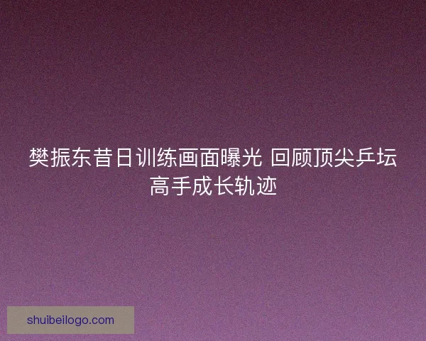 樊振东昔日训练画面曝光 回顾顶尖乒坛高手成长轨迹