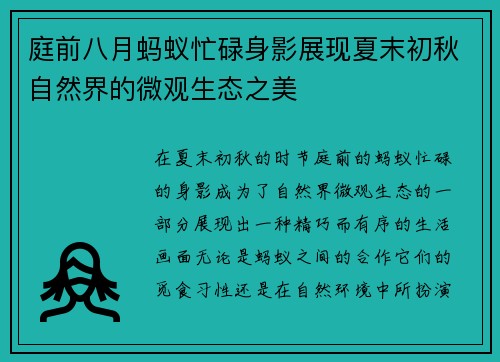 庭前八月蚂蚁忙碌身影展现夏末初秋自然界的微观生态之美